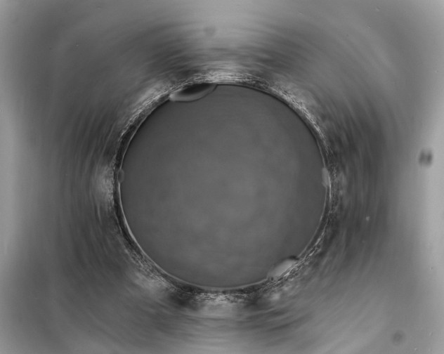 X0000098200297200805081118