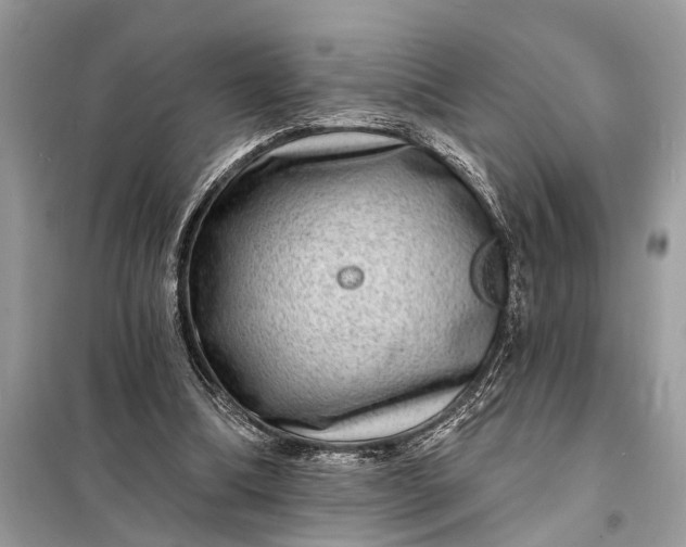 X0000098200298200805081117