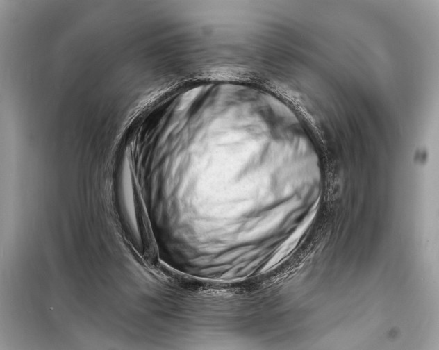 X0000098200299200805081117