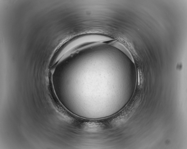 X0000098200300200805081117