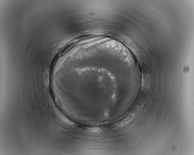 X0000098200301200805081117