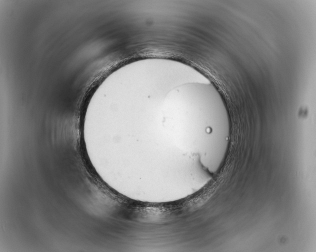 X0000098200302200805081117