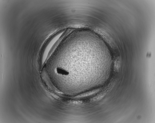 X0000098200304200805081117
