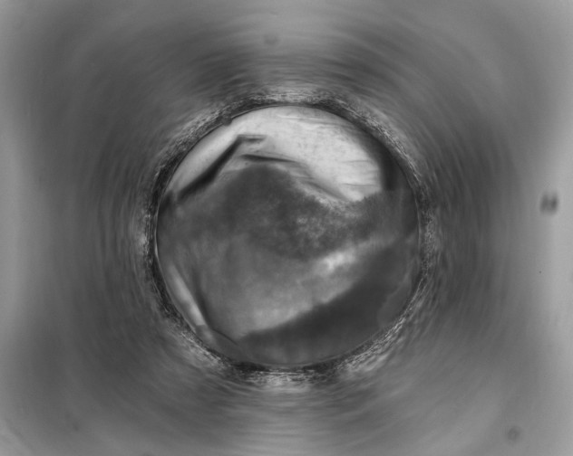 X0000098200305200805081117
