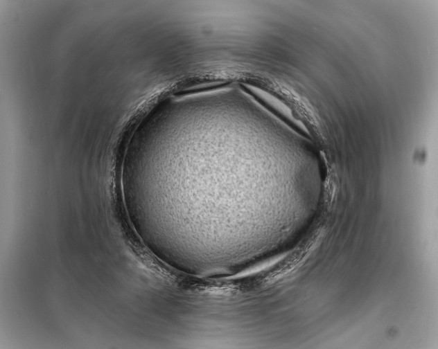X0000098200306200805081117