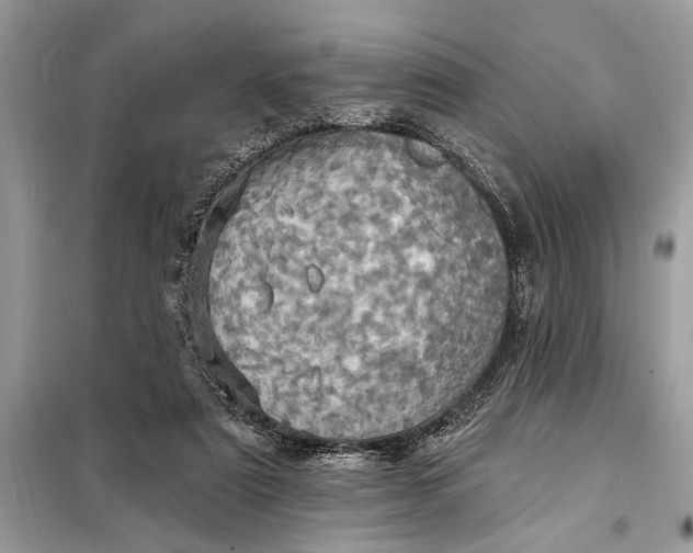 X0000098200307200805081117