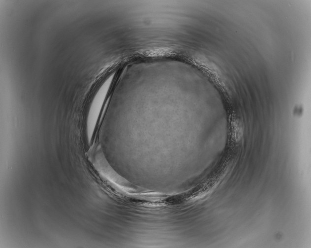 X0000098200308200805081117