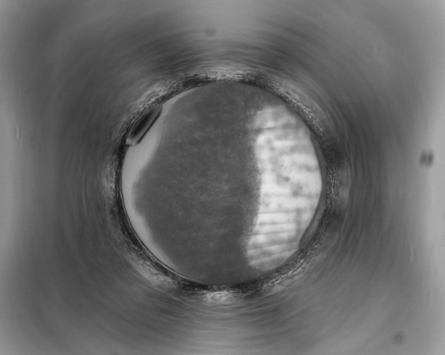 X0000098200309200805081117