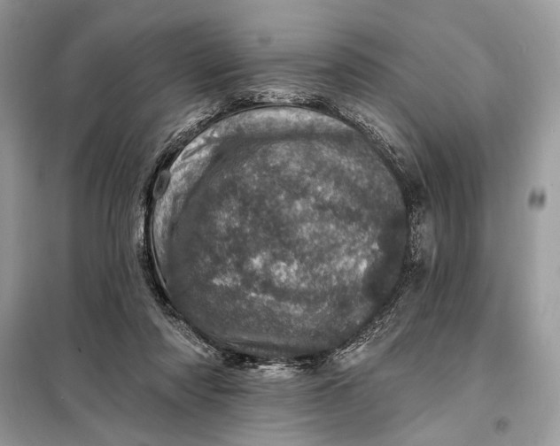 X0000098200310200805081117