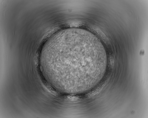 X0000098200311200805081117