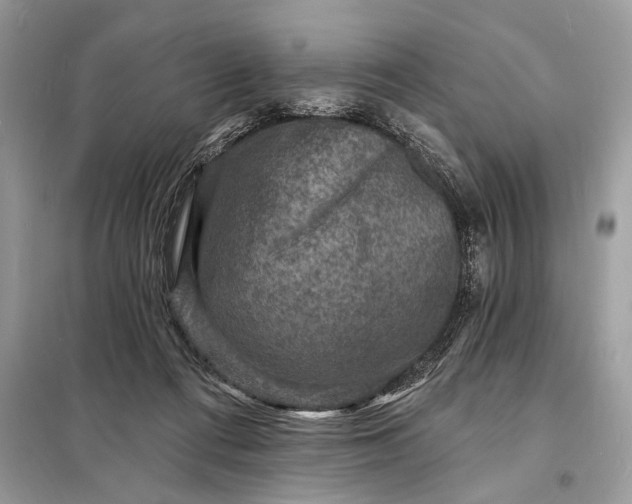 X0000098200312200805081117