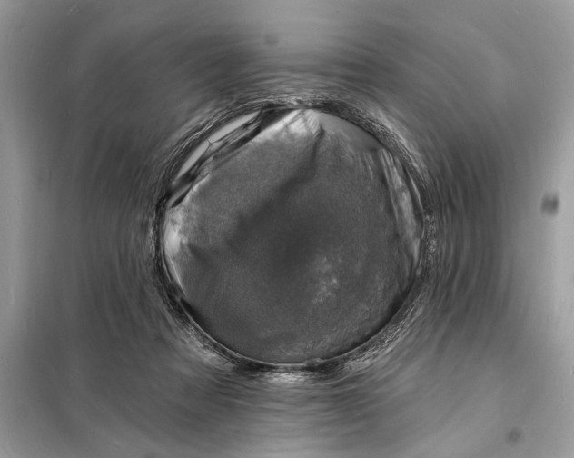 X0000098200313200805081117