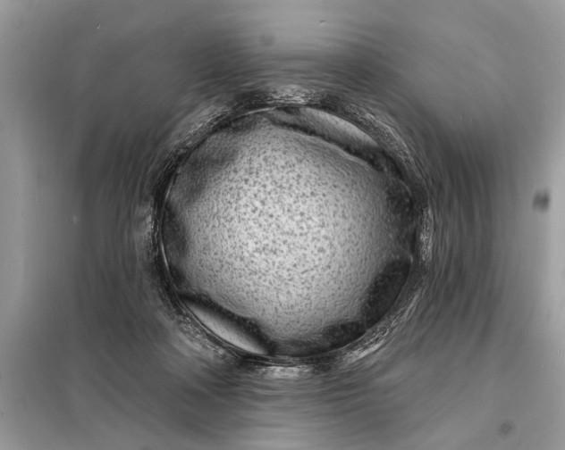 X0000098200314200805081117