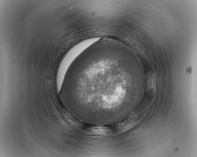 X0000098200316200805081117