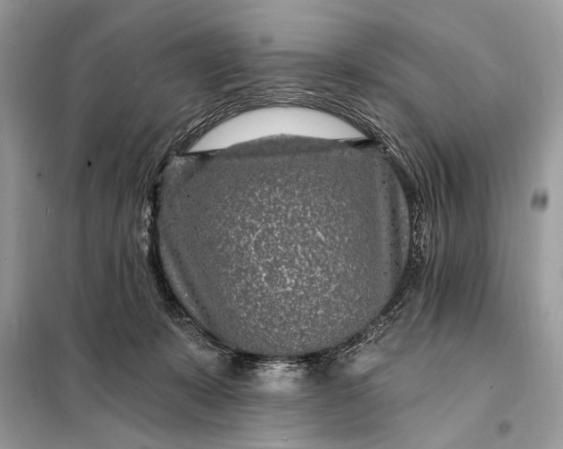 X0000098200319200805081117