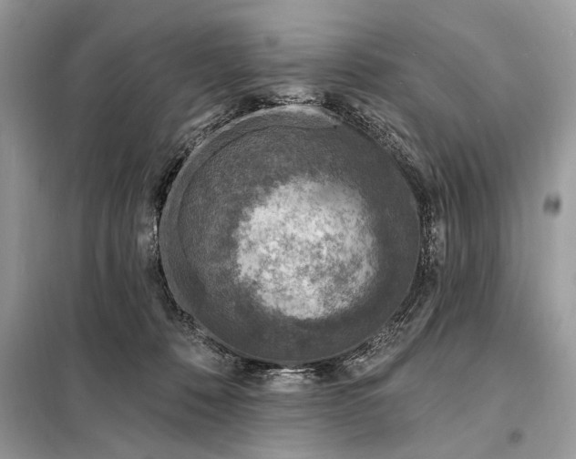 X0000098200320200805081117