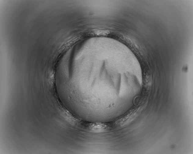 X0000098200321200805081117