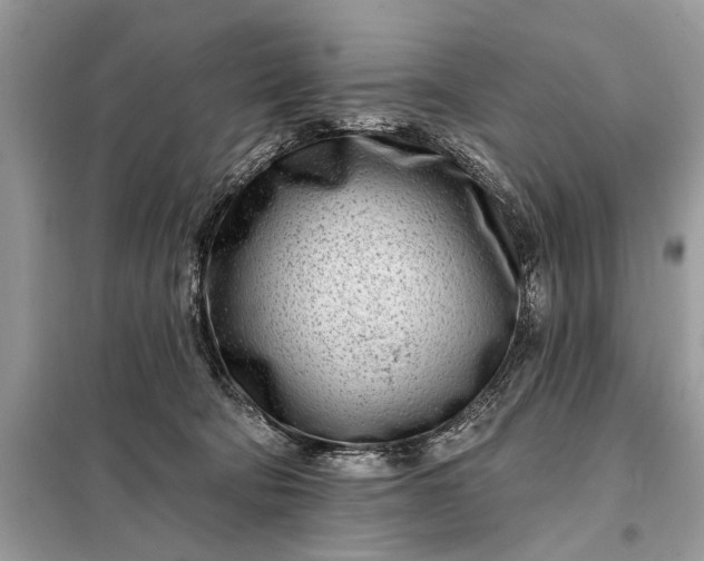 X0000098200322200805081117