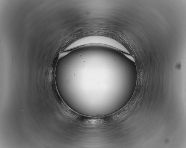 X0000098200323200805081117
