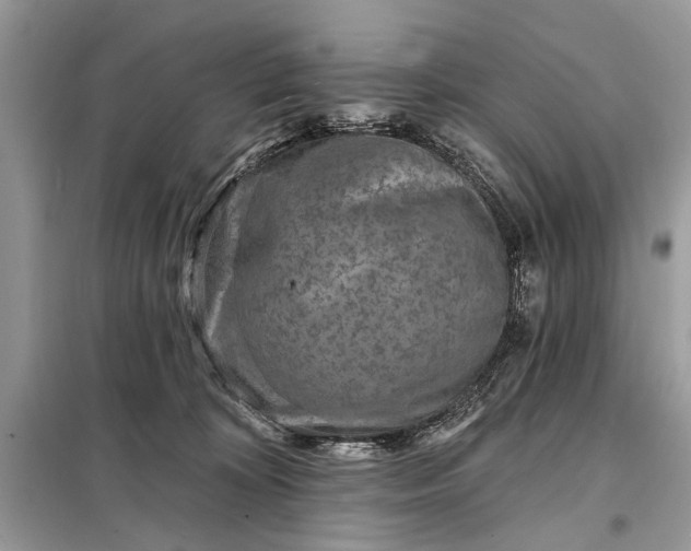X0000098200324200805081117