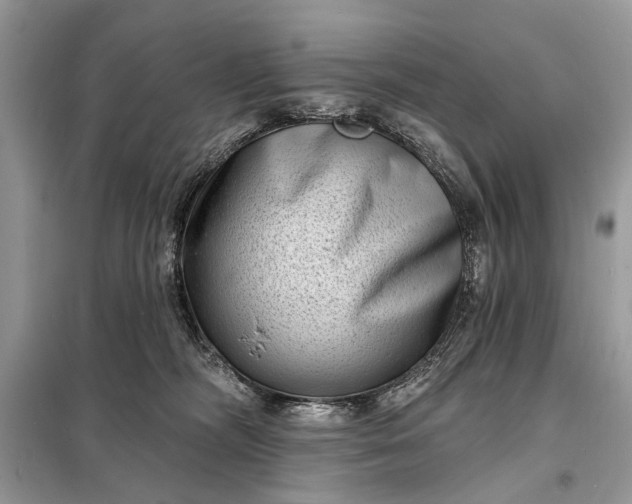 X0000098200326200805081117