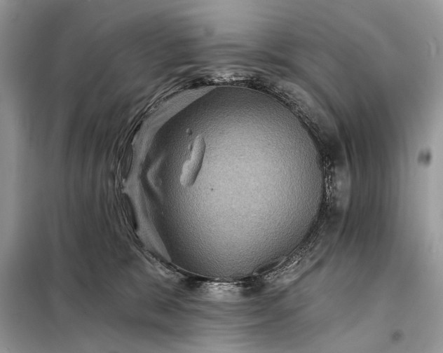 X0000098200327200805081117