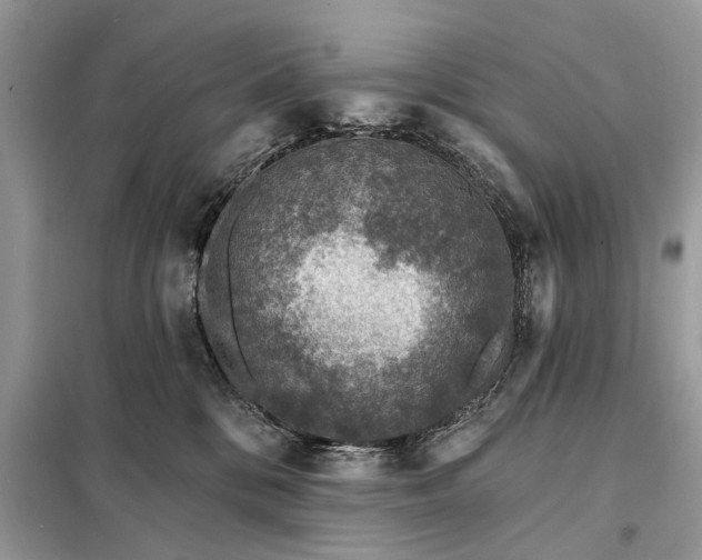 X0000098200328200805081117