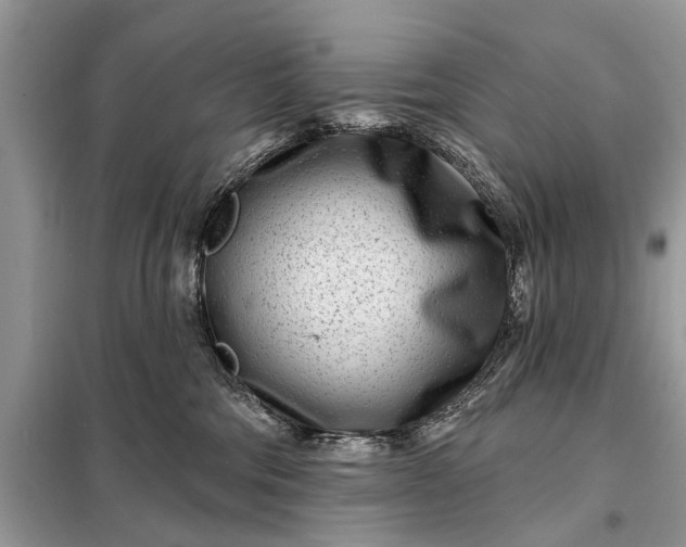 X0000098200330200805081117