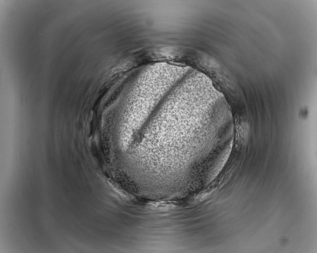 X0000098200331200805081117