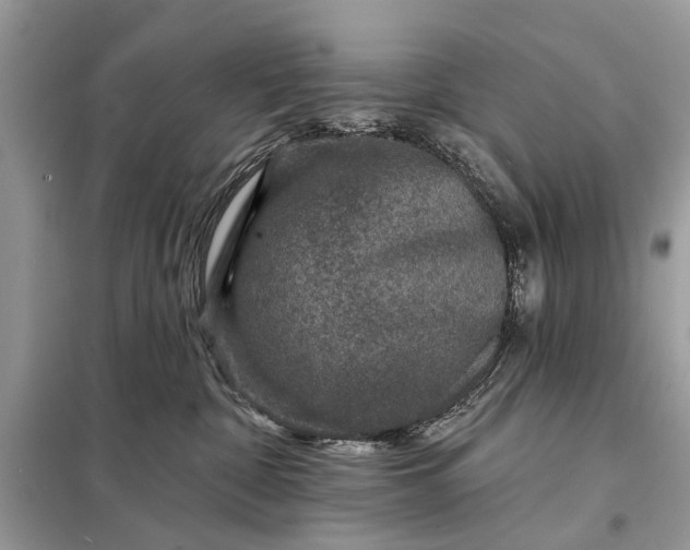 X0000098200332200805081117