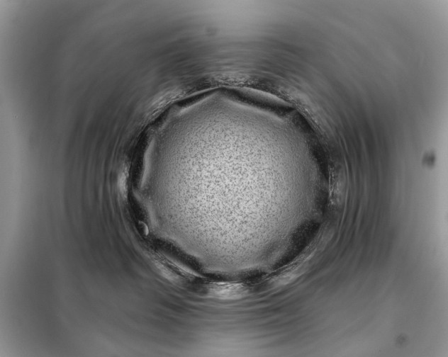 X0000098200334200805081117