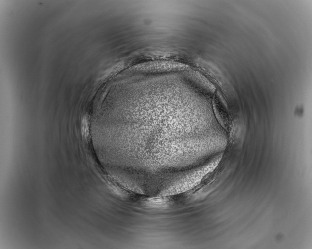 X0000098200335200805081117