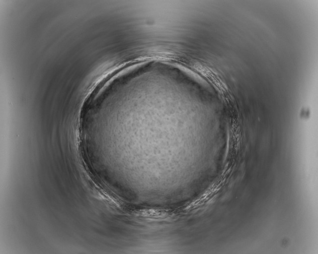 X0000098200338200805081116
