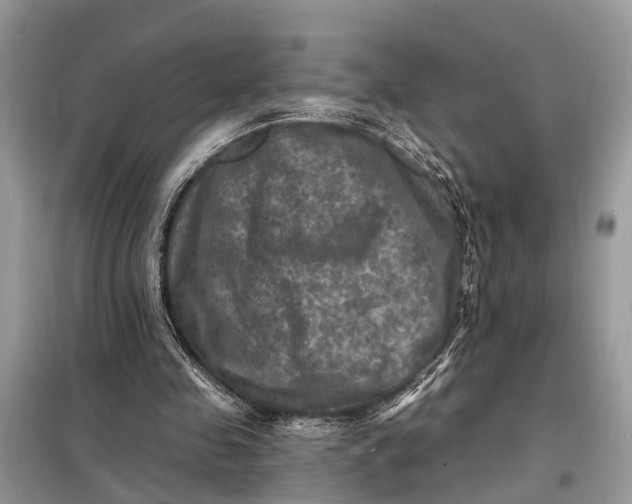X0000098200341200805081116