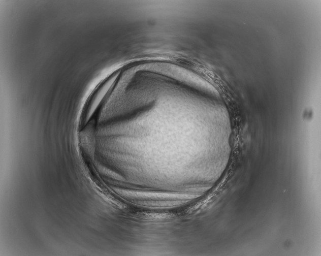 X0000098200342200805081116