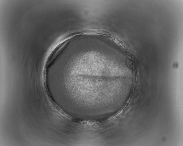 X0000098200343200805081116