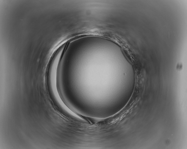 X0000098200344200805081116