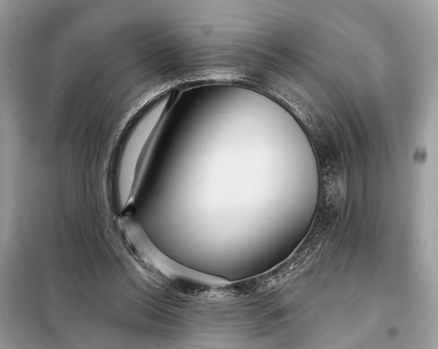 X0000098200350200805081116