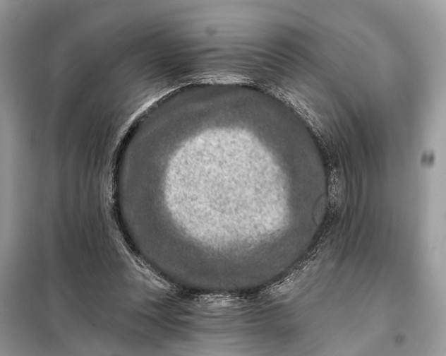 X0000098200351200805081116