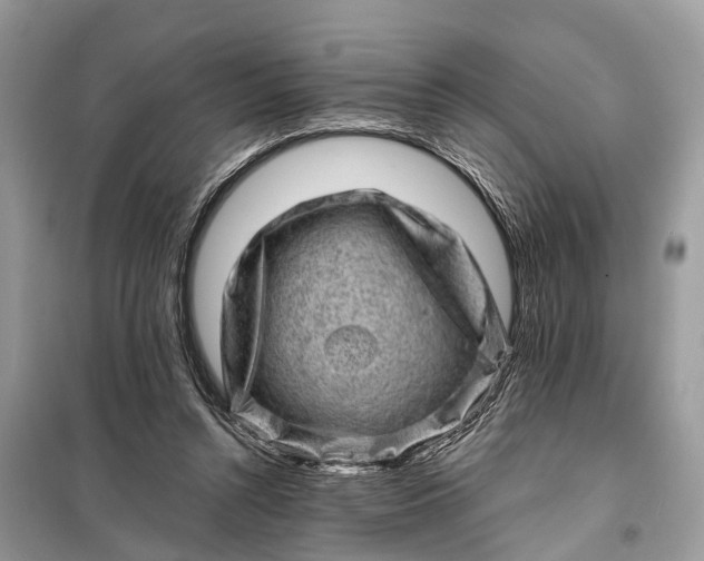 X0000098200352200805081116