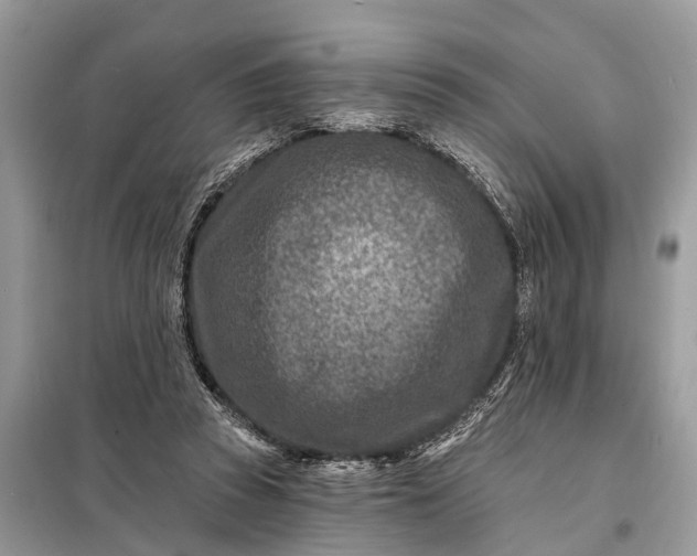 X0000098200353200805081117