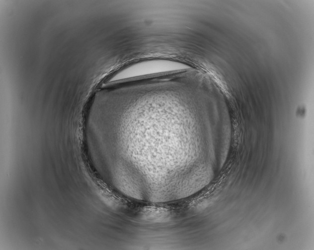 X0000098200354200805081117
