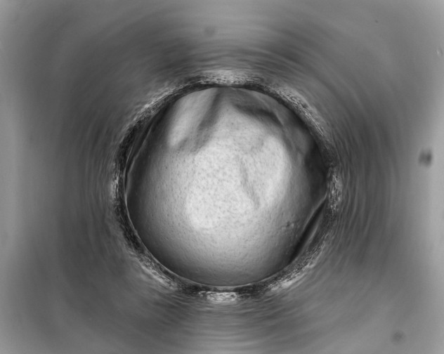 X0000098200355200805081117