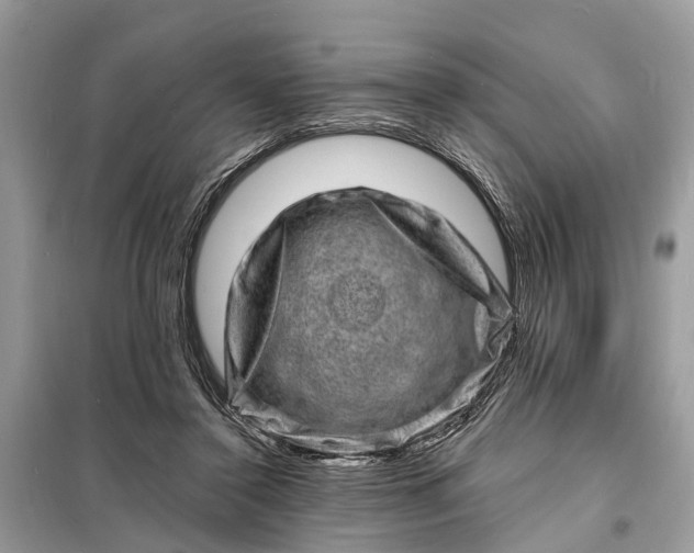 X0000098200356200805081117
