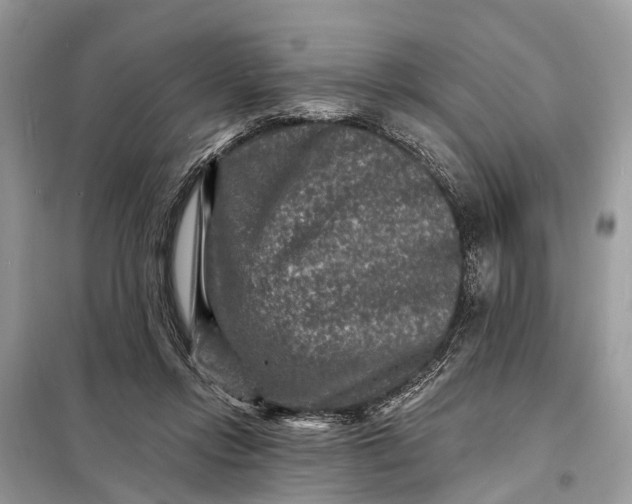 X0000098200358200805081117