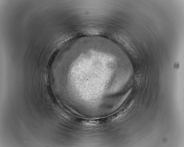 X0000098200359200805081117