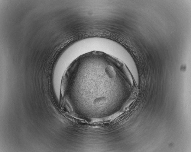 X0000098200360200805081117
