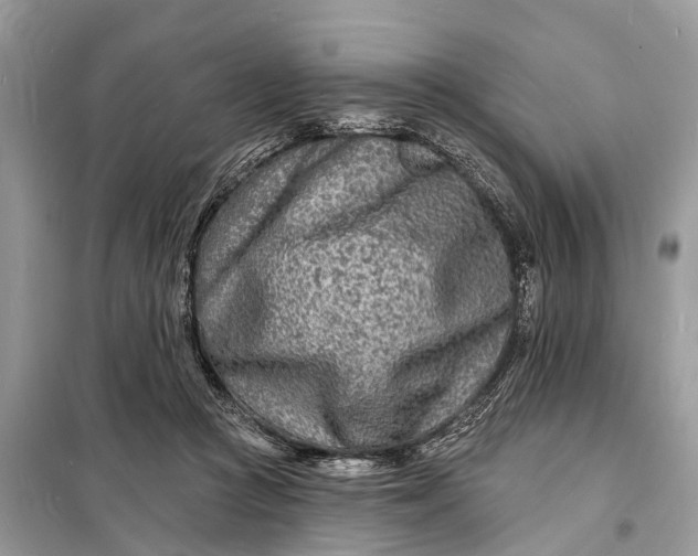 X0000098200361200805081117