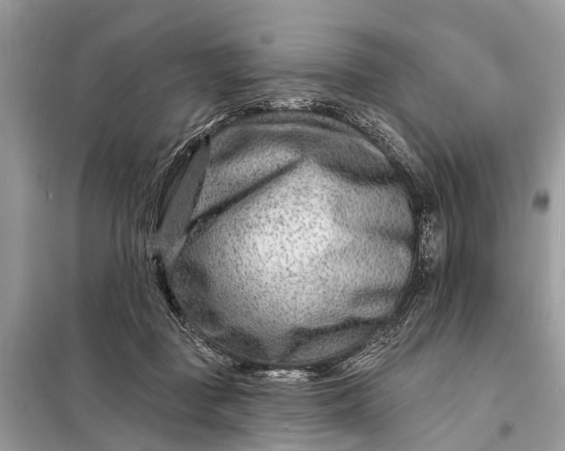 X0000098200363200805081117