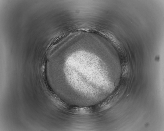 X0000098200365200805081117